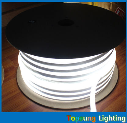 Différentes couleurs 10*18mm de taille LED néon avec 110/220/24 tension