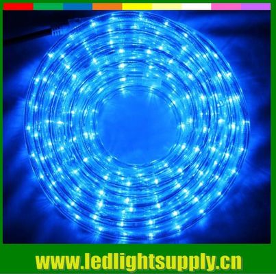 lampe de décoration extérieure bleue 2 fils 12/24V LED