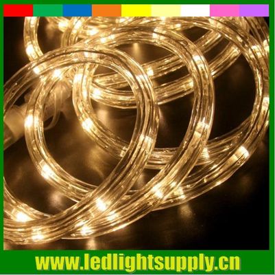 2 fils chauds blanc sans fil de la corde lumière à LED corde lumières de Noël 12 mm de diamètre