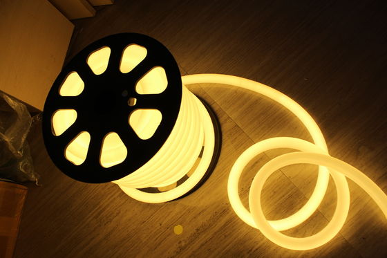 Efficacité énergétique 24V 25mm 360 degrés rondes chaudes lampes à néon ip67 LED flex ruban