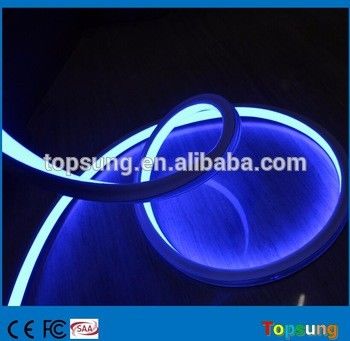 Lumière néon bleu carré flexible de haute qualité 110v 120LEDs/m pour bâtiment extérieur