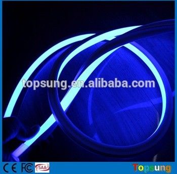 Lumière néon bleu carré flexible de haute qualité 110v 120LEDs/m pour bâtiment extérieur