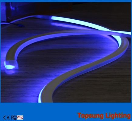 24V bleu décoration de couleur carré LED néon lampes flex tubes en pvc pour jardin