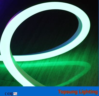 éclairage extérieur à néon à LED à double face vert 12V portable