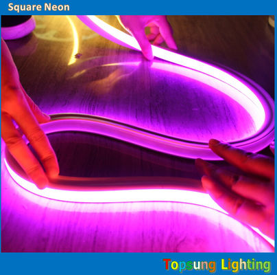 220v LED rose néon flexible de la corde de lumière 16 * 16m Facile à installer