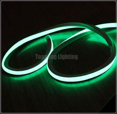 Étonnante lampe LED au néon 12V 16*16m pour décoration