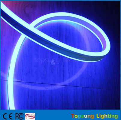 Lumière flexible à néon à LED bleu à double face de 24 V pour l'extérieur avec un nouveau design