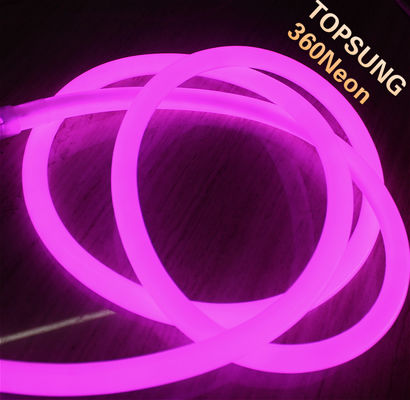 Lumières à néon rondes en PVC de 16 mm à LED rose à 360 degrés 110V