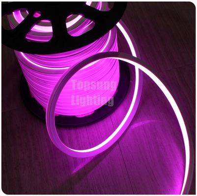 couleur rose DC 24V LED néon flex 16x16mm carré corde de néon plat décoration d'éclairage extérieur IP68