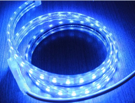 Lumières à bande 5050 CA 220V 60LED/M éclairage bleu