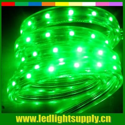 SMD5050 à haute luminosité 220V imperméable à l'eau IP65 à néon à LED à bande flexible verte