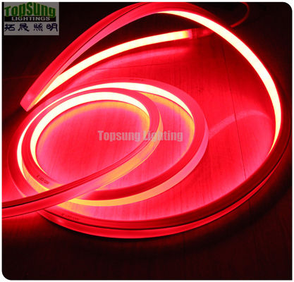 Vente à chaud RGB 16*16m 127V lampe à néon plat LED faite en Chine