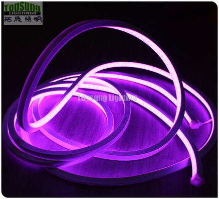 Incroyablement lumineux 120v RGB 16*16m à lumière LED néon flexible pour la décoration