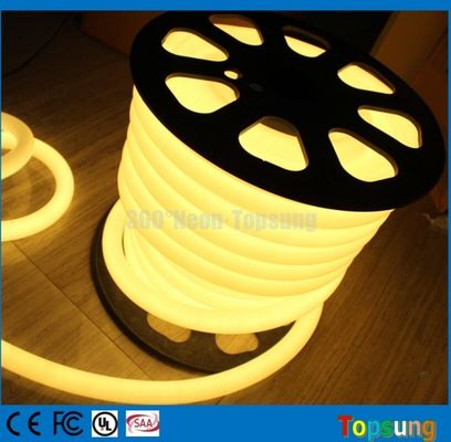 25M bobine 12 Volt 360 degrés ronde chaude blanche à LED flexible bande néon pour la pièce