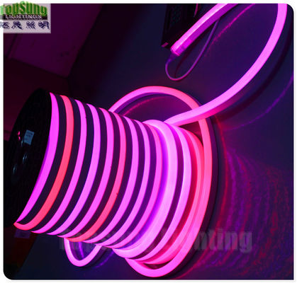 14*26mm rgb numérique LED néon flex lumières décoratives pour Noël