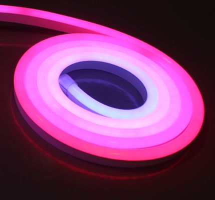 24V dynamique numérique flexible néon LED bandes lumineuses colorées numérique LED néon lumineux à vendre