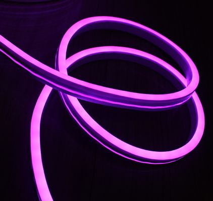 230v rgb LED néon tube flexible lampes à émission de néon plat vue latérale 5050 smd pour les marches