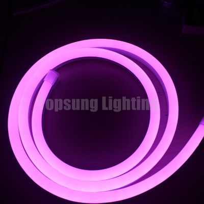 14*26mm couleur LED lumineux numériques néon 24V