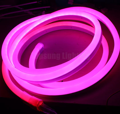 Mini RGB numérique pixel chasseur LED bande de néon flexible de la corde de lumière 24v