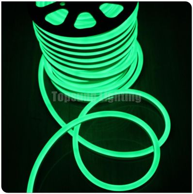 SMD 2835 lumière au néon LED 12V corde flexible à l'extérieur étanche à l'eau lumière à bande de néon LED couleur verte