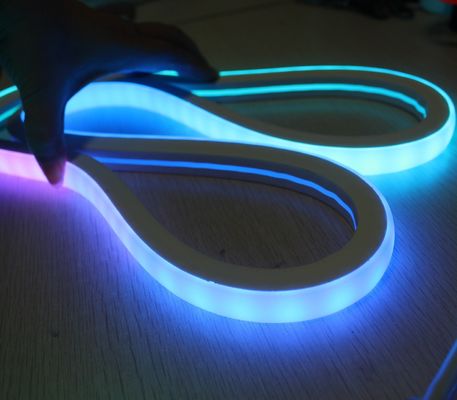 Lumières au néon flux /RGB à LED étanche à l'eau Multi-couleur changeante