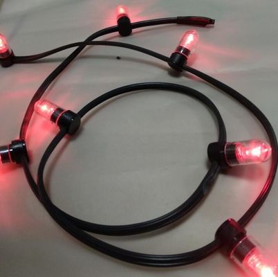Baisse de tension alimentée par LED Lumières à cordes de couleur rose LED de Noël 100m cordes 666LED