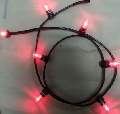 12v basse puissance LED clip lumière 100m / rouleau lumières de Noël à LED chaîne Lumières de riz rouge chaînes 666 ampoules
