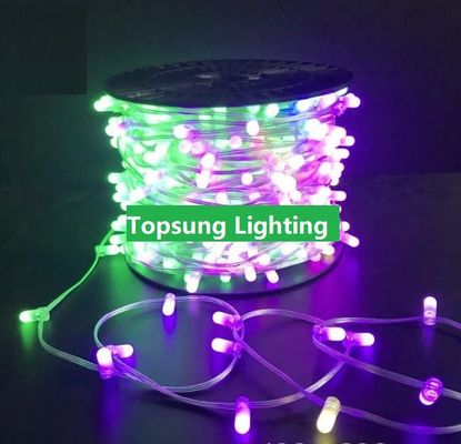 Lumière d'arbre de Noël décorative extérieure 100m 666 leds changeant de couleur 12V LED Clip Light