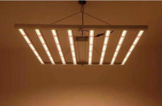 600W Indoor LED Grow Lights LED Plant Lights IP65 Sambead 6 Bar CUL pilote